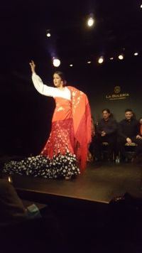 Flamencodanseres 1 Buleria